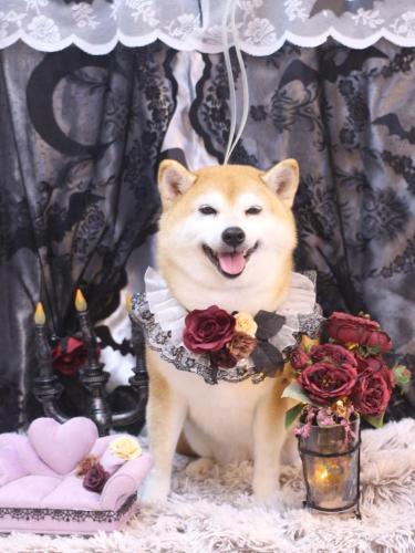 20231029初ちゃん